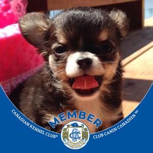 Meet your Posher, Micheline